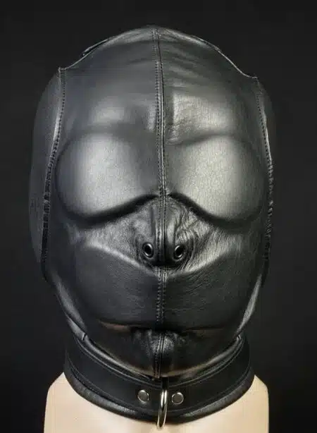 Mr. S Leather Isolation Hood