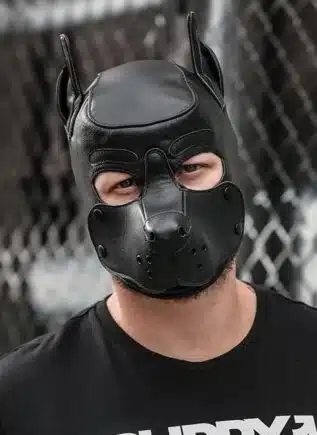 Mr. S Leather K9 Pup Hood Black