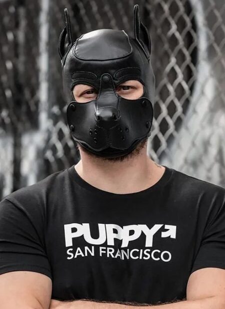 Mr. S Leather K9 Pup Hood Black