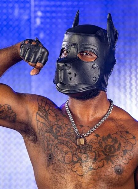 Mr. S Leather K9 Pup Hood Black