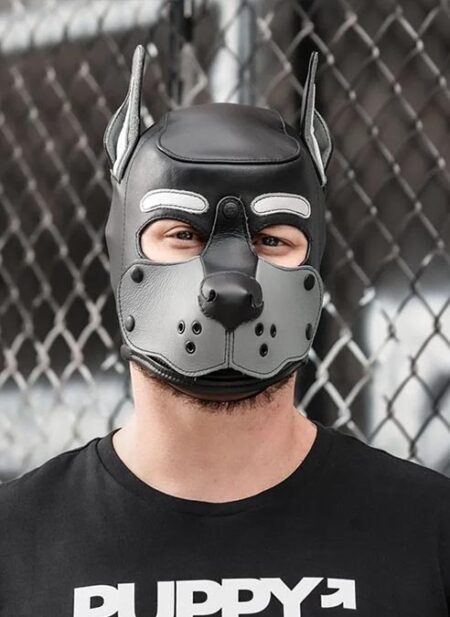 Mr. S Leather K9 Pup Hood Grey
