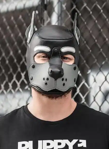 Mr. S Leather K9 Pup Hood Grey