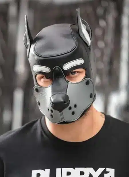 Mr. S Leather K9 Pup Hood Grey