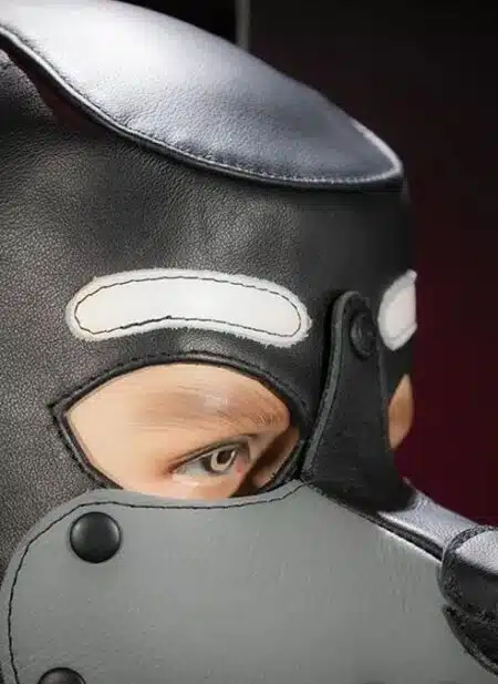 Mr. S Leather K9 Pup Hood Grey