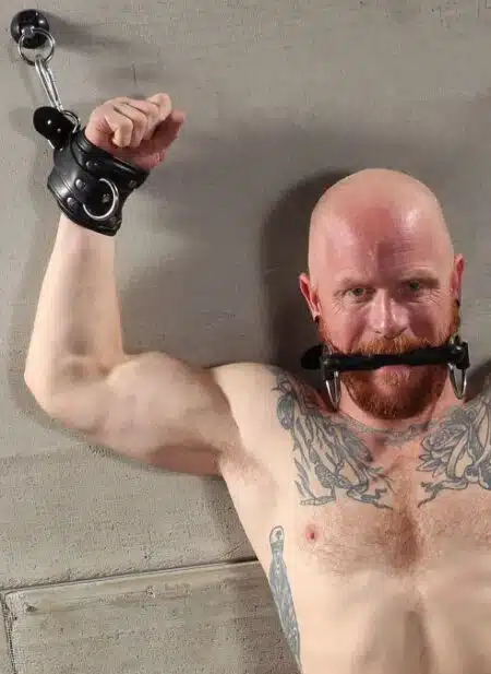 Mr. S Leather Padded Wrist Restraints