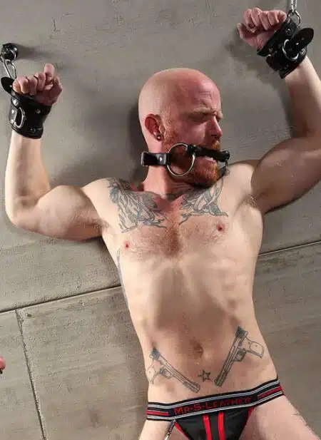 Mr. S Leather Padded Wrist Restraints