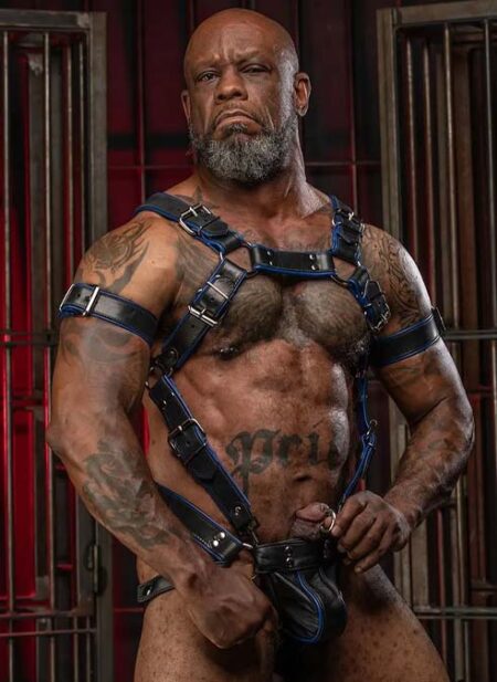 Mr. S Leather Piped Trojan Bicep Strap Blue