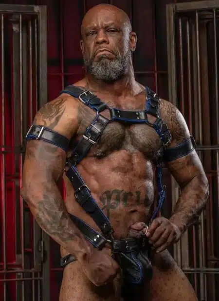 Mr. S Leather Piped Trojan Bicep Strap Blue