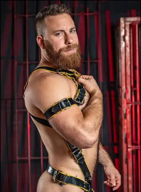 Mr. S Leather Piped Trojan Bicep Strap Yellow