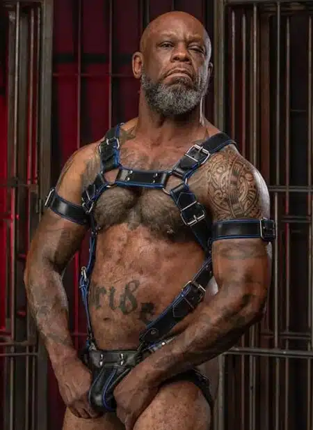 Mr. S Leather Piped Trojan Body Harness Blue
