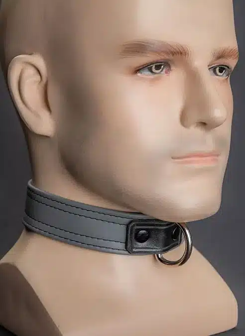 Mr. S Leather Puppy Collar