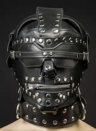 Mr. S Leather Sci-Fi Hood