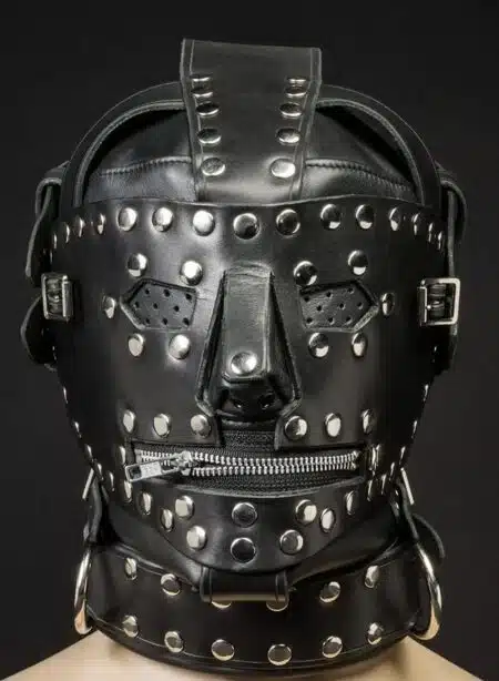 Mr. S Leather Sci-Fi Hood