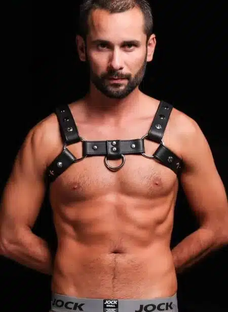 Mr. S Leather Silver Snap Bulldog Harness