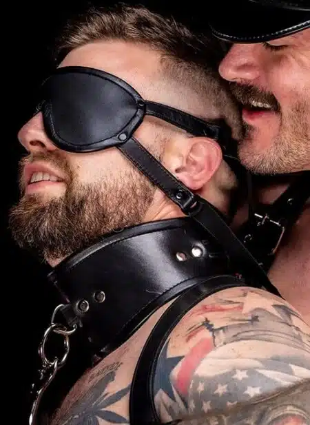 Mr. S Leather Simple Posture Collar