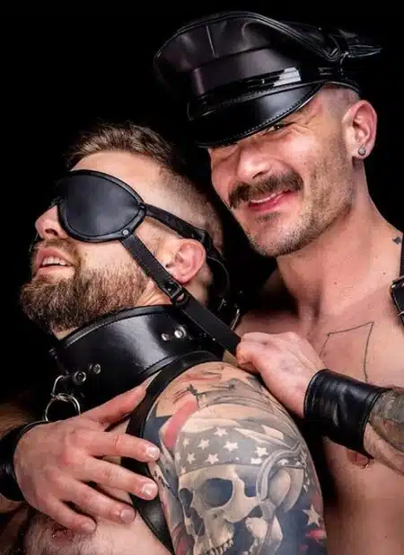 Mr. S Leather Simple Posture Collar