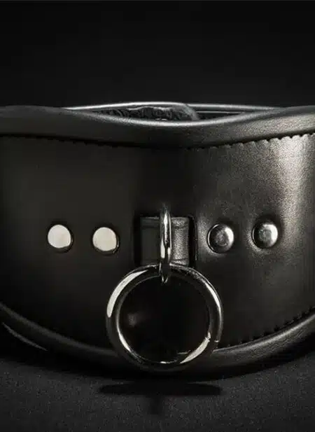 Mr. S Leather Simple Posture Collar