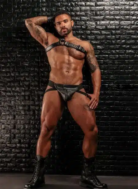 Mr. S Leather Slingshot Tri-Harness Black