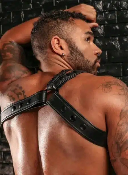 Mr. S Leather Slingshot Tri-Harness Black
