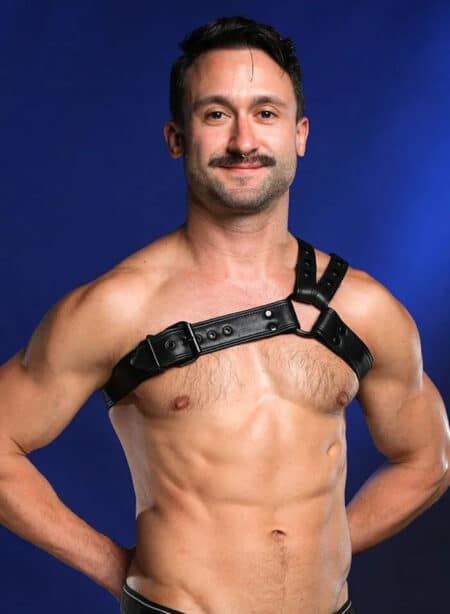 Mr. S Leather Slingshot Tri-Harness Black