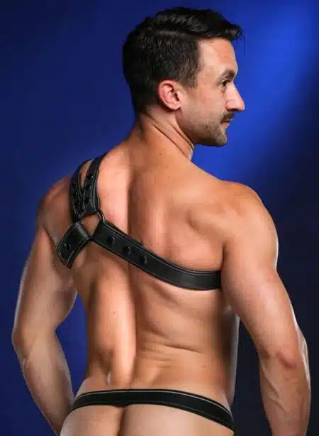 Mr. S Leather Slingshot Tri-Harness Black