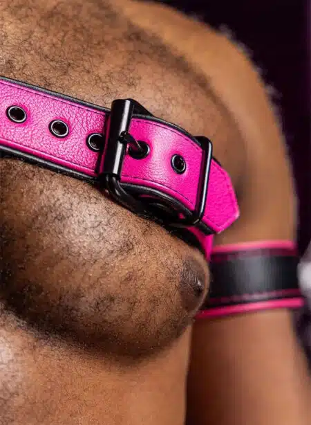 Mr. S Leather Slingshot Tri-Harness Pink