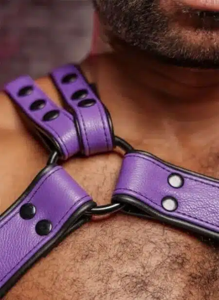 Mr. S Leather Slingshot Tri-Harness Purple