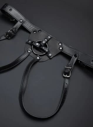 Mr. S Leather Strap On Dildo Harness