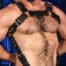 Mr. S Leather Trojan 2.0 Body Harness Black