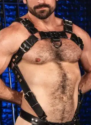 Mr. S Leather Trojan 2.0 Body Harness Silver