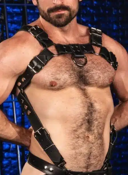 Mr. S Leather Trojan 2.0 Body Harness Silver