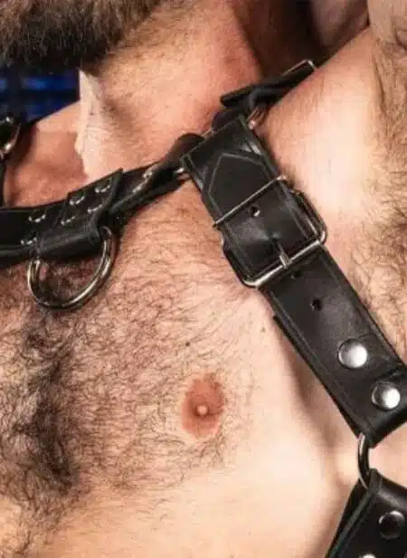 Mr. S Leather Trojan 2.0 Body Harness Silver