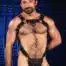 Mr. S Leather Trojan 2.0 Body Harness Silver