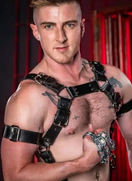 Mr. S Leather Trojan Body Harness