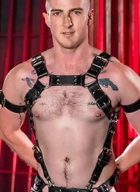 Mr. S Leather Trojan Body Harness