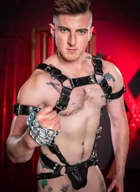 Mr. S Leather Trojan Body Harness