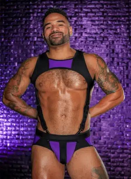 Mr. S Neo Archer Body Harness Purple