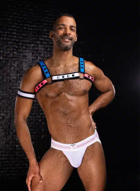 Mr. S Neo Bold Color Bulldog Harness: Mix & Match