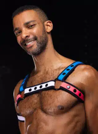 Mr. S Neo Bold Color Bulldog Harness: Mix & Match