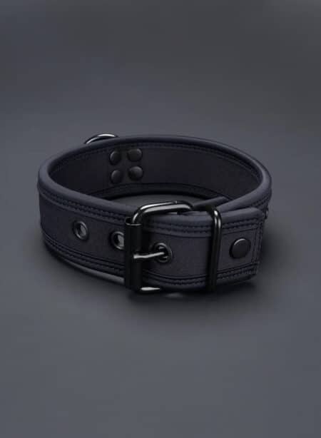 Mr. S Neo Carbon black Puppy Collar