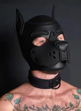 Mr. S Neo Carbon black Puppy Collar