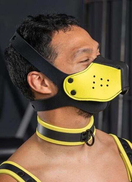 Mr. S Neo Face Muzzle Head Harness