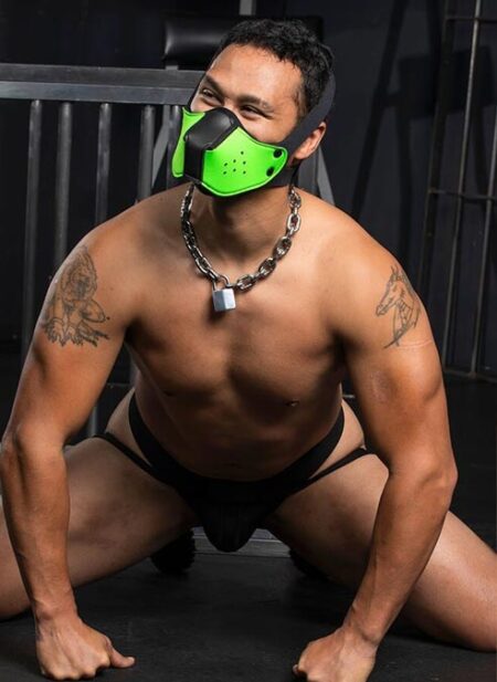 Mr. S Neo Face Muzzle Head Harness