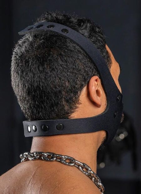 Mr. S Neo Face Muzzle Head Harness