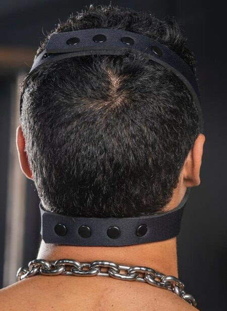 Mr. S Neo Face Muzzle Head Harness