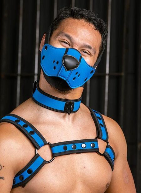Mr. S Neo Face Muzzle Head Harness
