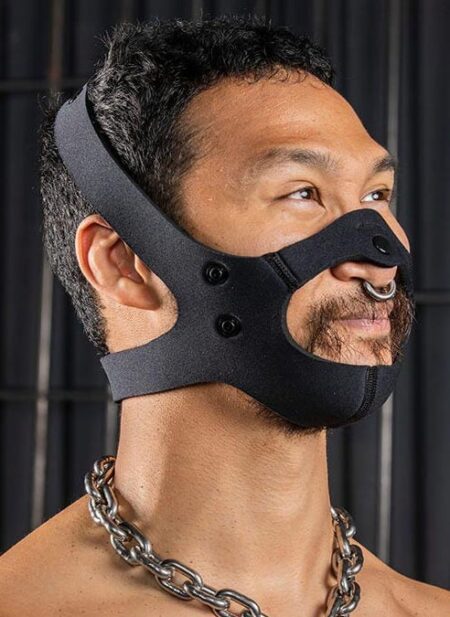 Mr. S Neo Face Muzzle Head Harness
