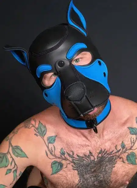 Mr. S Neo Frisky Pup Hood Cobalt Blue
