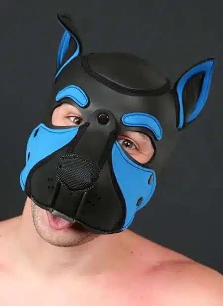 Mr. S Neo Frisky Pup Hood Cobalt Blue