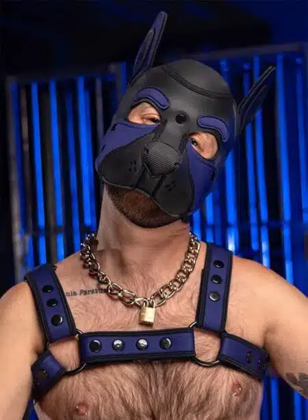 Mr. S Neo Frisky Pup Hood Navy